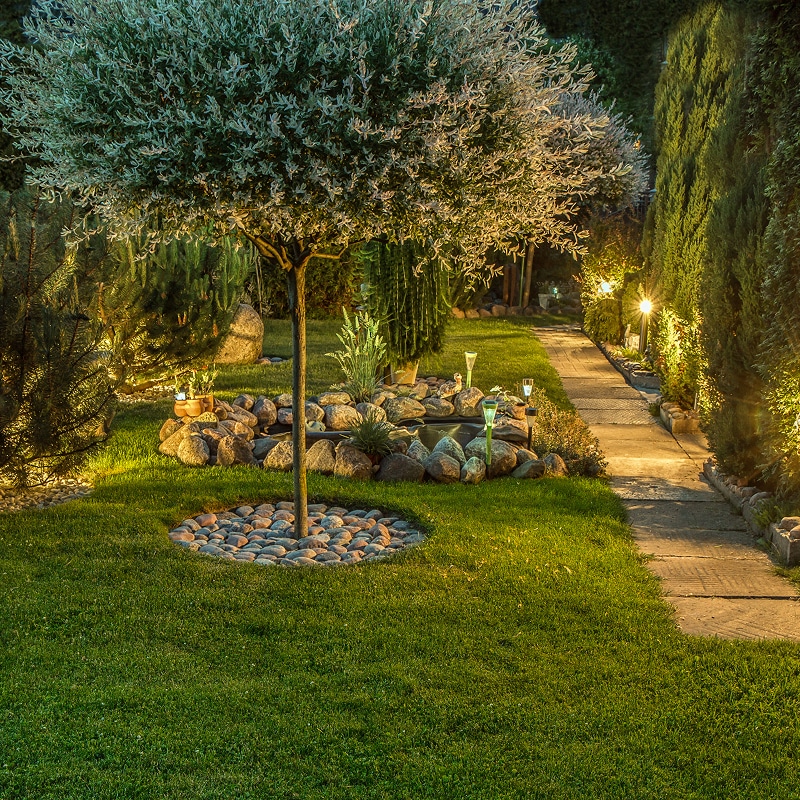Jardin illuminé avec arbre décoratif, chemin pavé bordé de lumières et végétation luxuriante. Ambiance chaleureuse et accueillante.