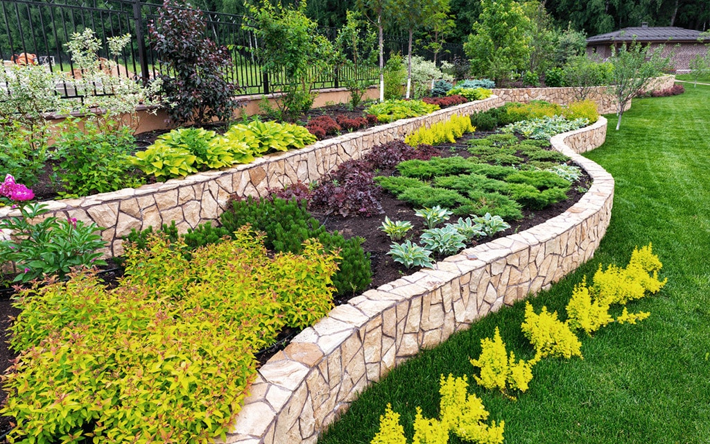 Jardin en terrasses avec murets en pierre, plantes variées et pelouse verte. Paysage soigné avec fleurs colorées et verdure luxuriante.