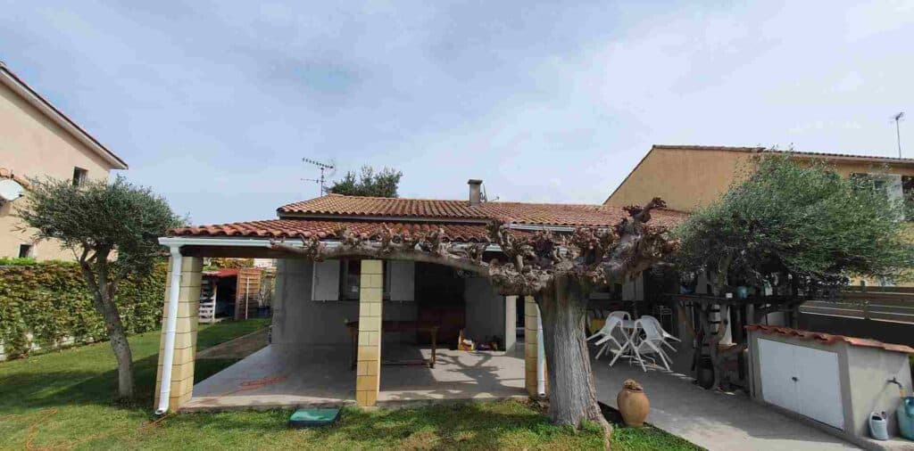 Maison avec toit tuile, terrasse couverte sur colonnes, grand arbre taillé et olivier dans le jardin, chemin béton.