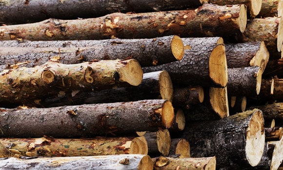 Grande pile de billes de bois brutes, certaines avec écorce grise, d'autres aux coupes claires révélant les cernes. Prêtes à l'emploi.
