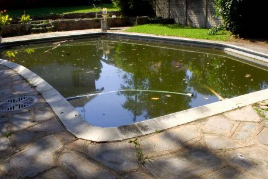 Piscine creusée abandonnée remplie d'eau stagnante verte et de débris, bordée de dalles de pierre au soleil.